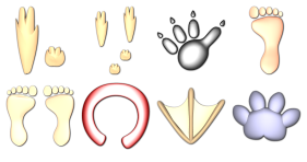 Animal Tracks Icons