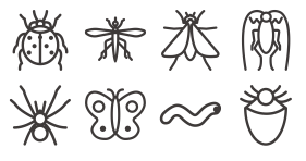 insect Icons