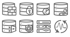 Data security Icon Icons