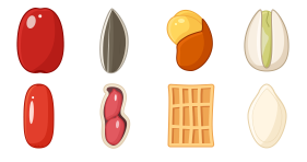 New nut snack Series in spring Icons