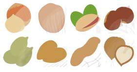 Nut Icon Icons