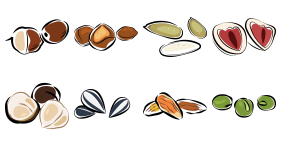 Nuts Icons