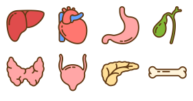 Human organ Icon Icons