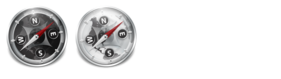 Safari Replacement Icon Icons